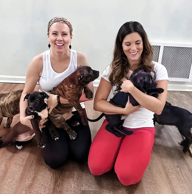 Puppy yoga and 'kyosei': Building colleague relationships in hybrid models